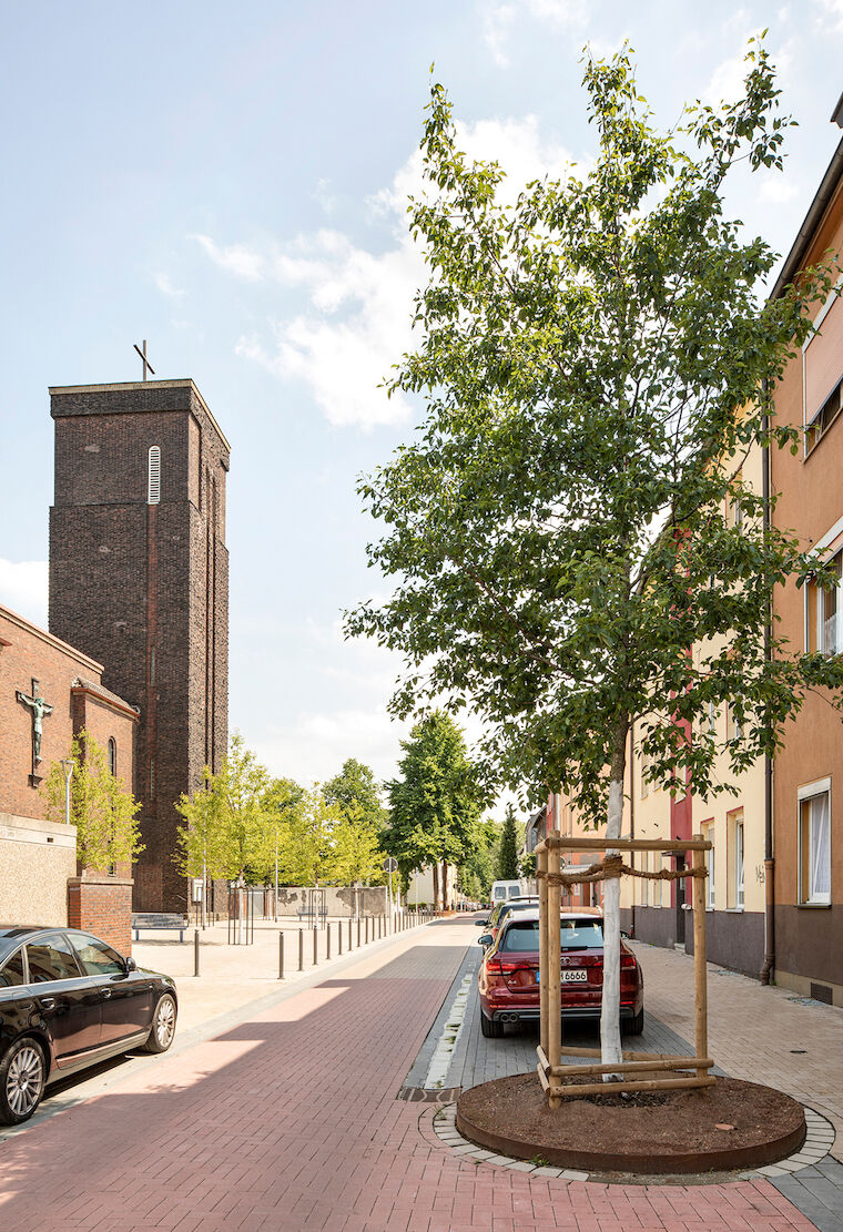 Das Projekt umfasste unter anderem technische Maßnahmen sowie andere Baumscheiben für eine bessere Wasseraufnahme und mehr Platz für die Pflanzen. Foto: Claudia Dreyße